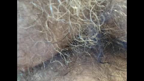 Snapshot of harry_banana chatting on 11, 9, 2025 harry_banana online show from 11, 9, 2025