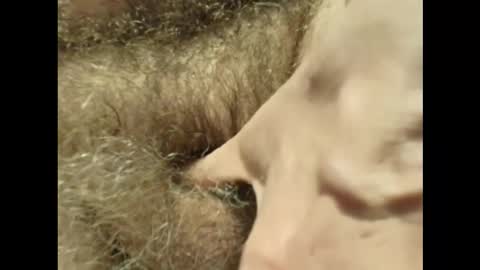 Snapshot of harry_banana chatting on 30, 11, 2025 harry_banana online show from 30, 11, 2025