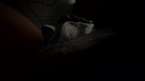 J Hart online show from 23, 1, 2025