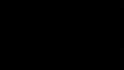 Nicole online show from 4, 3, 2025