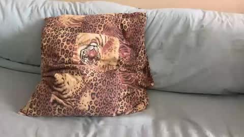 Snapshot of havedream1m chatting on 10, 2, 2026 havedream1m online show from 10, 2, 2026