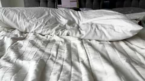 Amber  -   or vip  online show from 3, 3, 2025