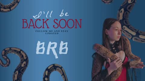 Hayle online show from 19, 12, 2024