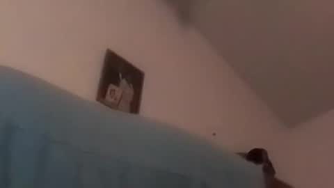 hbdj2164 online show from 17, 12, 2024