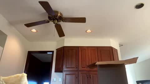 Snapshot of heatwavee chatting on 4, 11, 2025 heatwavee online show from 4, 11, 2025