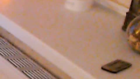 Snapshot of heaven_chloe chatting on 4, 1, 2025 Heaven girl online show from 4, 1, 2025