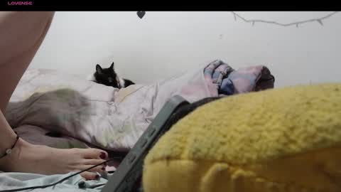 Snapshot of hecatedark122 chatting on 4, 12, 2025 sofia online show from 4, 12, 2025