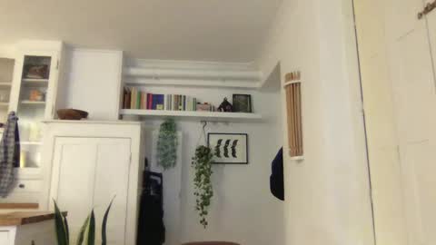 Lucas online show from 3, 1, 2025