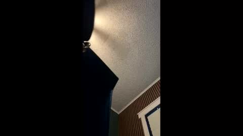 Snapshot of hentai_kittyxx chatting on 20, 5, 2026 Hentai KittyXx online show from 20, 5, 2026