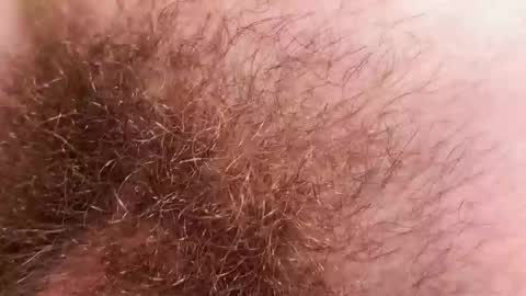 Snapshot of hey_arnold chatting on 2, 12, 2025 Arnold online show from 2, 12, 2025