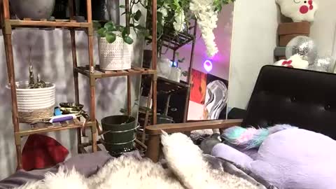 Snapshot of heynicole01 chatting on 3, 1, 2025 FlexieFae online show from 3, 1, 2025