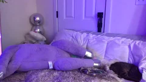 Snapshot of heynicole01 chatting on 9, 2, 2025 FlexieFae online show from 9, 2, 2025