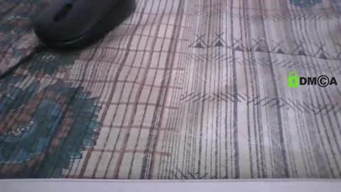 Snapshot of hhiteshs19 chatting on 7, 3, 2026 Hitesh online show from 7, 3, 2026