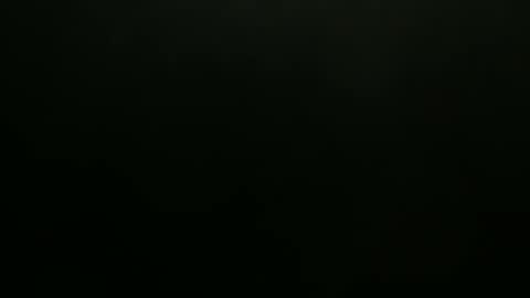 hibus_85 online show from 7, 11, 2025