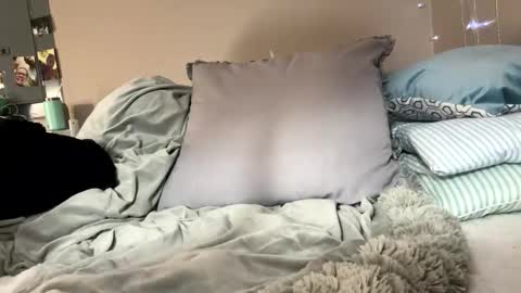 Bondage blondiie online show from 31, 5, 2026