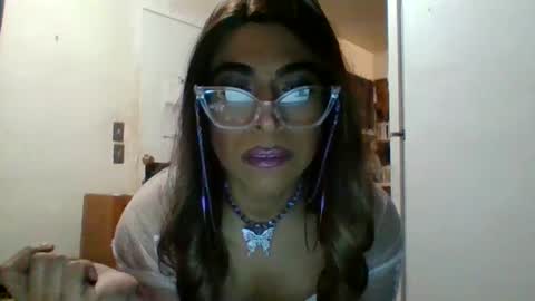 hihheelstranny online show from 15, 12, 2024