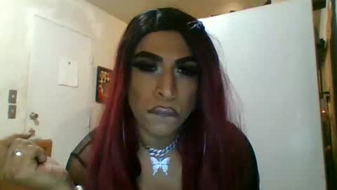 Snapshot of hihheelstranny chatting on 12, 4, 2026 hihheelstranny online show from 12, 4, 2026