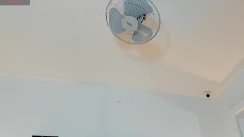 hilary_tailor online show from 6, 1, 2026