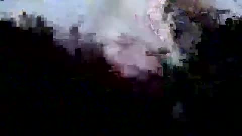 Snapshot of hippibob1 chatting on 8, 10, 2025 Bob online show from 8, 10, 2025