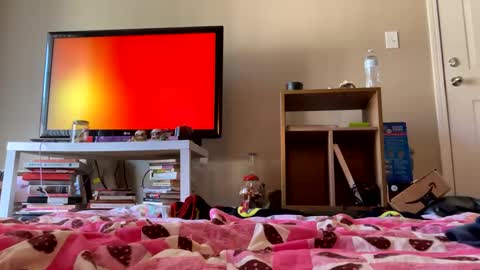 angelbabi online show from 11, 12, 2024