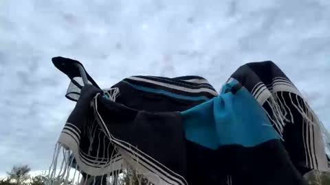 Hippie Jijm online show from 6, 1, 2026