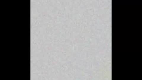 hisbadhabit40 online show from 2, 12, 2025