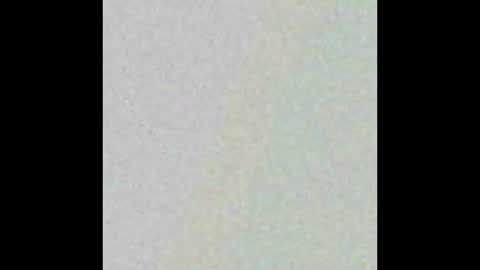 Hung top 4 furry dads online show from 9, 3, 2025