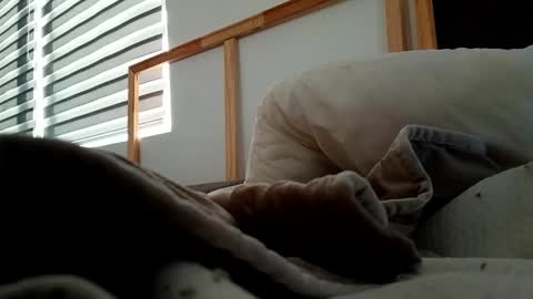 Fucker online show from 6, 11, 2025