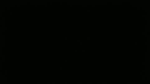 hofnung online show from 2, 4, 2026