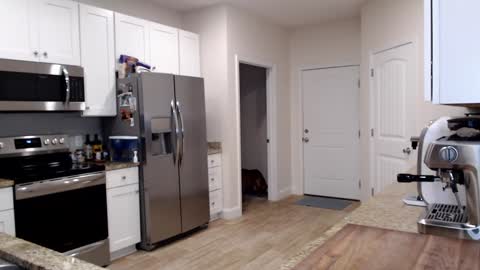 Holi Hurricane online show from 24, 9, 2025