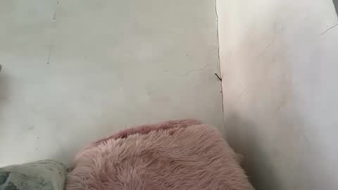 holly_wyn online show from 24, 3, 2026