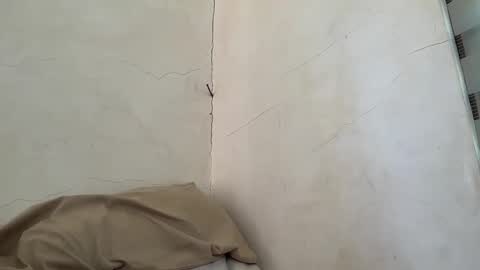 holly_wyn online show from 11, 4, 2026