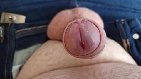 Homer Jay Simpson online show from 21, 2, 2025