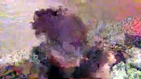 hometownwitch online show from 25, 11, 2025