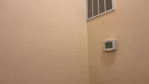 honey_man14 online show from 26, 2, 2026