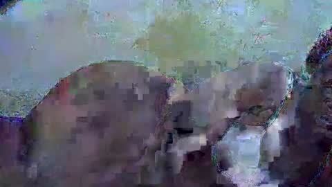 Snapshot of honey_sunshiny chatting on 3, 2, 2026 honey_sunshiny online show from 3, 2, 2026