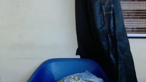 Snapshot of horny4bum chatting on 1, 3, 2025 horny4bum online show from 1, 3, 2025