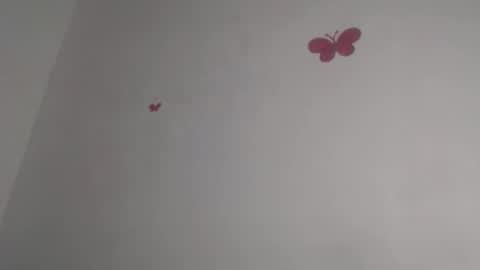 Iris online show from 15, 10, 2025