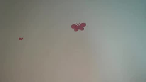 Iris online show from 4, 4, 2026