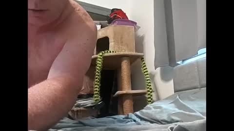 hornyman6942842 online show from 13, 12, 2025