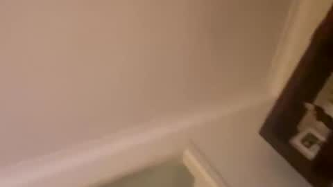 Snapshot of hornyonelooking1 chatting on 1, 12, 2025 hornyonelooking1 online show from 1, 12, 2025