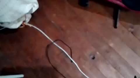 Snapshot of hornypaul84 chatting on 5, 11, 2025 hornypaul84 online show from 5, 11, 2025