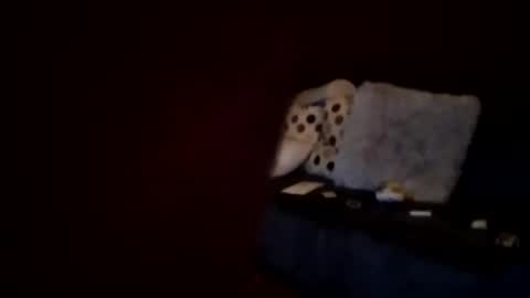 Snapshot of hornypaul84 chatting on 7, 1, 2026 hornypaul84 online show from 7, 1, 2026