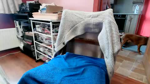Snapshot of hornypenis127 chatting on 6, 6, 2026 hornypenis127 online show from 6, 6, 2026
