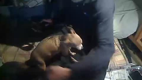 hornyscott666 online show from 4, 3, 2026