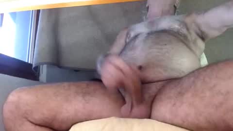 Snapshot of hornyswissman chatting on 8, 9, 2025 hornyswissman online show from 8, 9, 2025