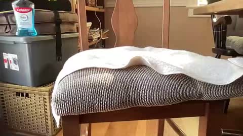 HornyThumb online show from 11, 1, 2026