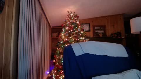 horsebigballs online show from 19, 1, 2025