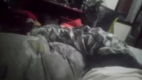 Snapshot of horsebrowm chatting on 1, 1, 2025 horsebrowm online show from 1, 1, 2025