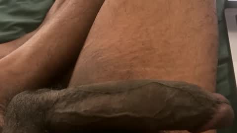 Bbc horsey online show from 3, 2, 2026